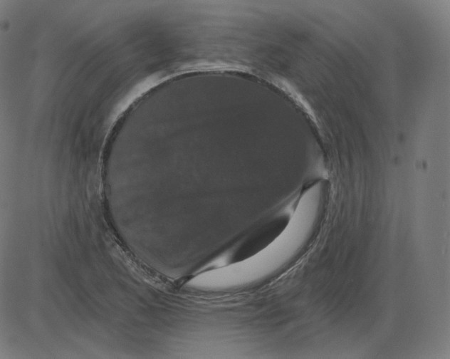 X0000084041173200703161824