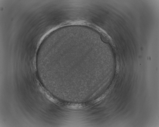 X0000084041174200703161824