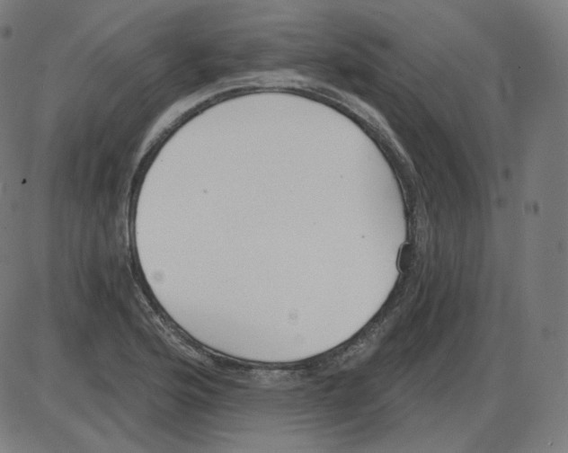 X0000084041176200703161824