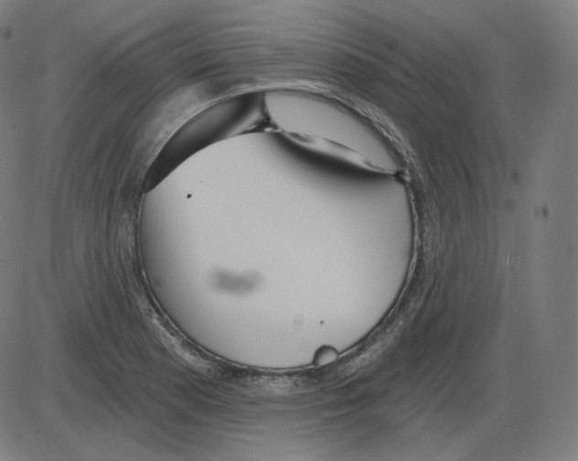 X0000084041177200703161824