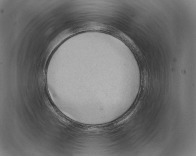 X0000084041178200703161824