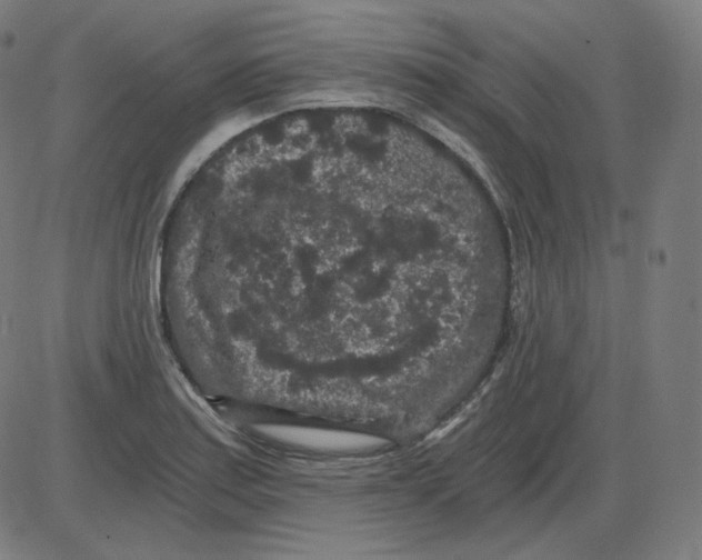 X0000084041179200703161823