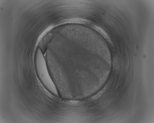 X0000084041180200703161823