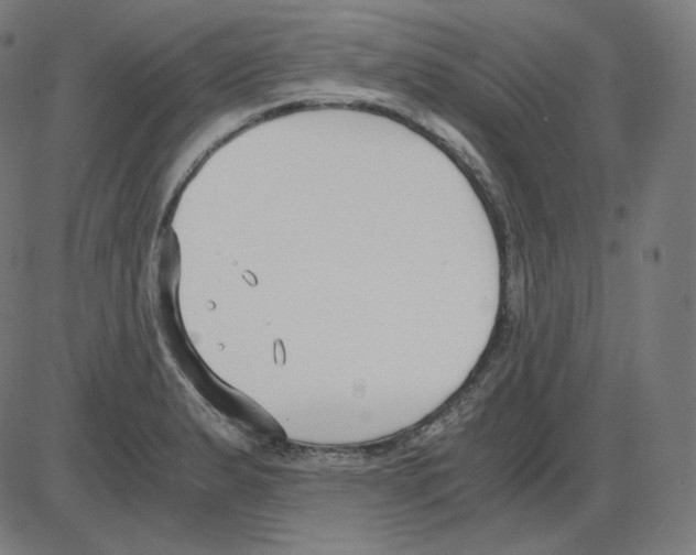 X0000084041183200703161823