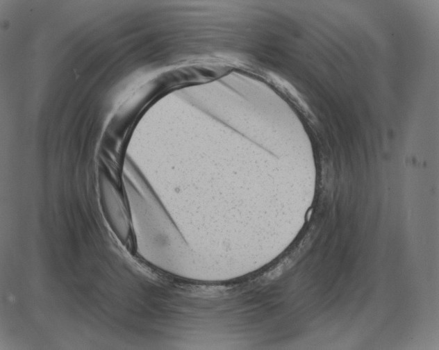 X0000084041184200703161823