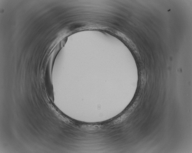 X0000084041185200703161823