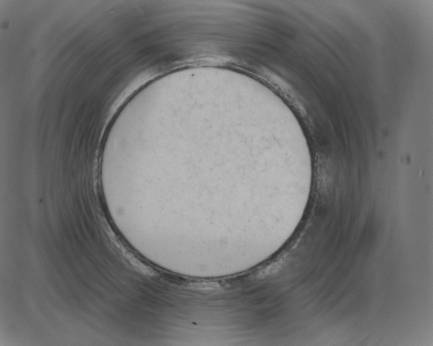 X0000084041186200703161823