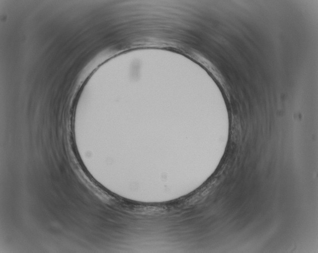 X0000084041187200703161823