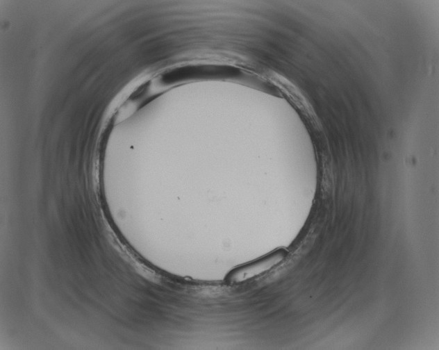 X0000084041188200703161823