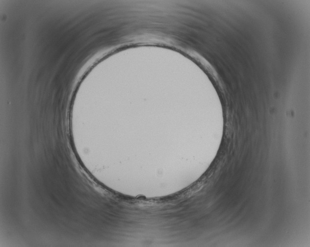 X0000084041191200703161823