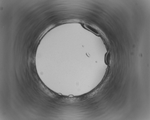 X0000084041193200703161823