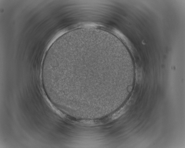 X0000084041194200703161823