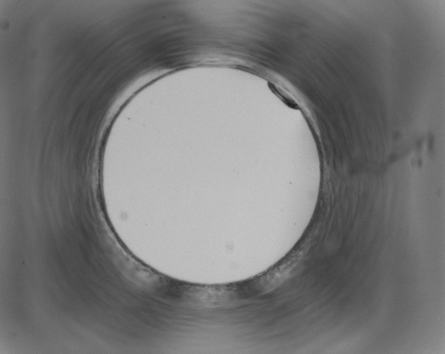 X0000084041195200703161823