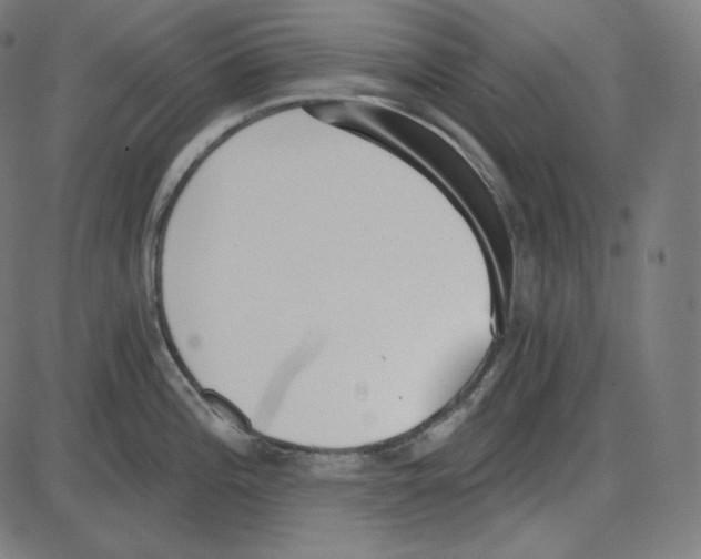 X0000084041196200703161823