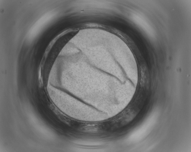 X0000084041198200703161823