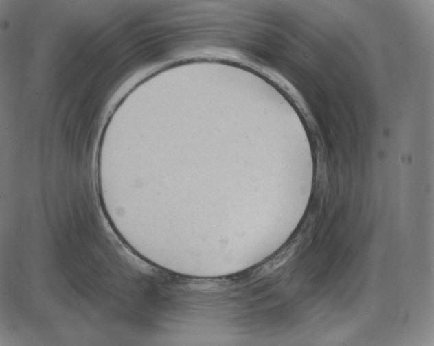 X0000084041199200703161823