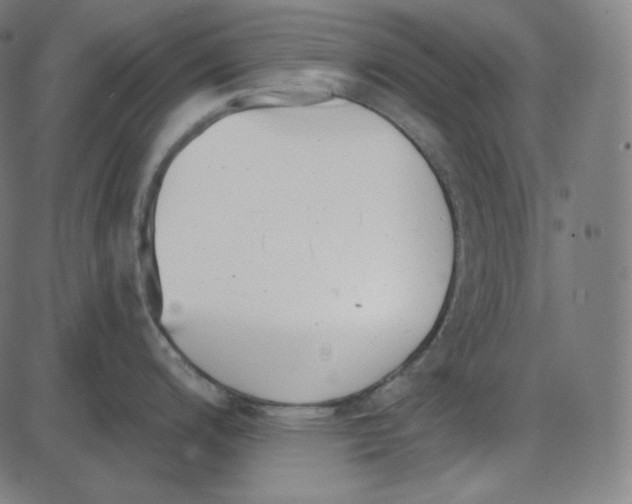 X0000084041200200703161823