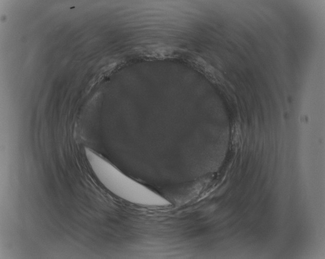 X0000084041202200703161822