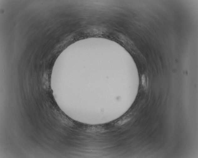 X0000084041203200703161822