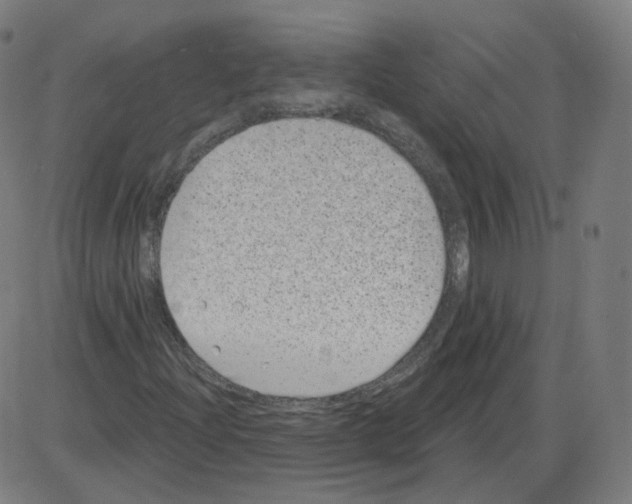 X0000084041204200703161822