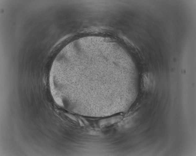 X0000084041206200703161822