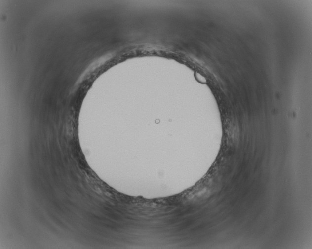 X0000084041207200703161822