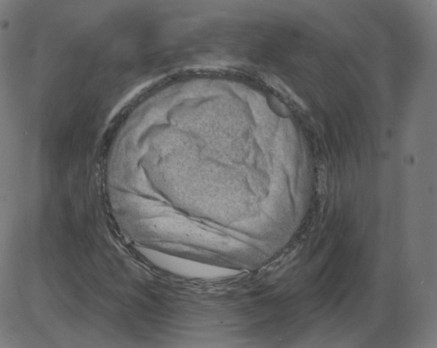 X0000084041208200703161822