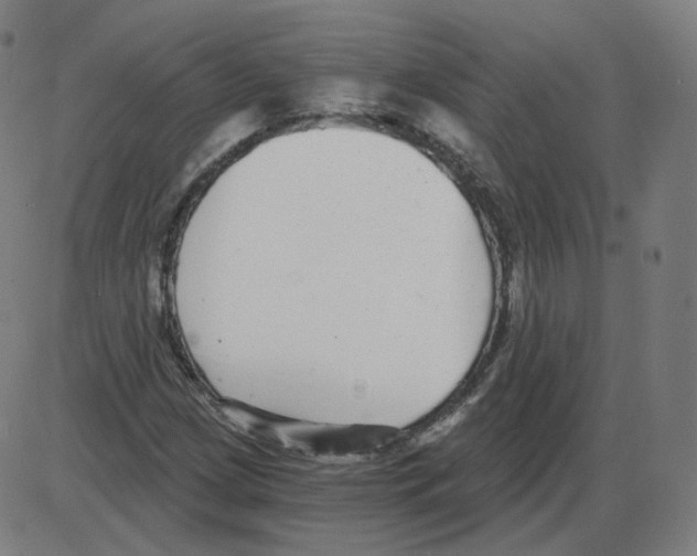 X0000084041209200703161822