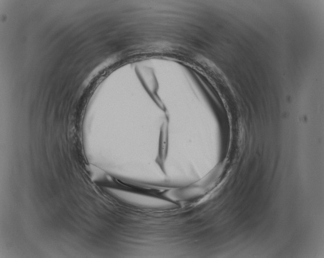 X0000084041210200703161822