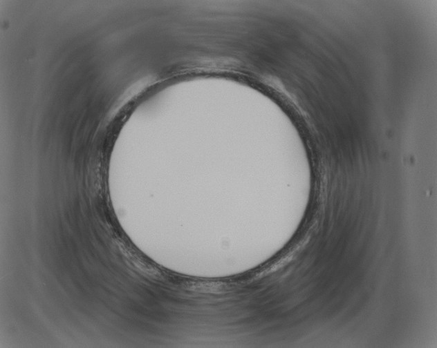 X0000084041211200703161822