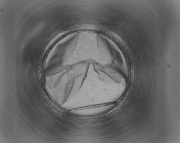 X0000084041212200703161823