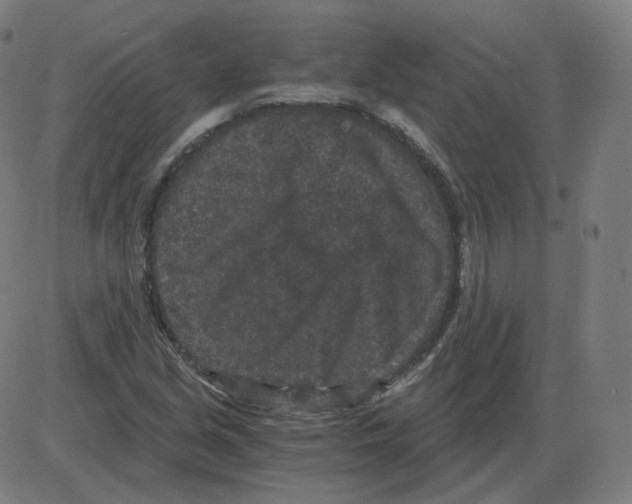 X0000084041213200703161823