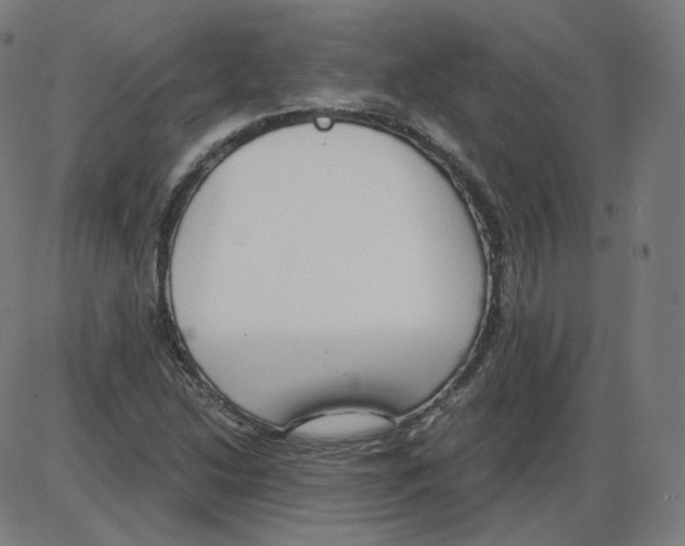 X0000084041214200703161823