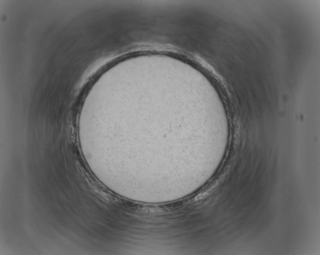 X0000084041215200703161823