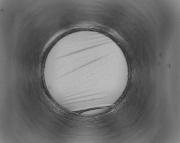 X0000084041216200703161823