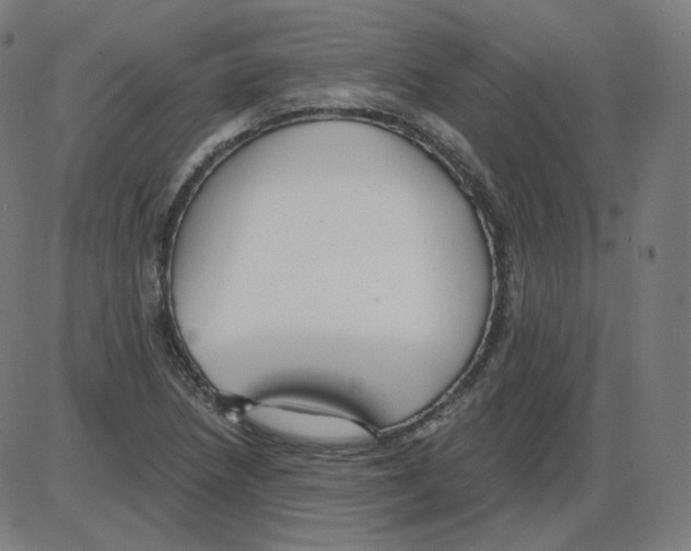 X0000084041218200703161823