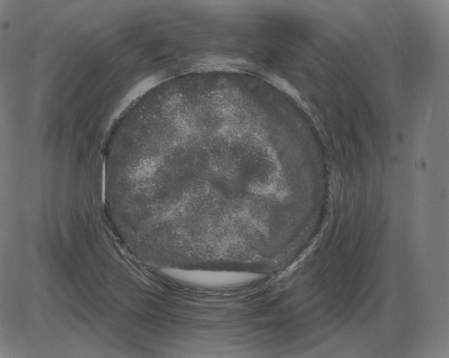 X0000084041219200703161823