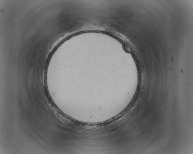 X0000084041220200703161823