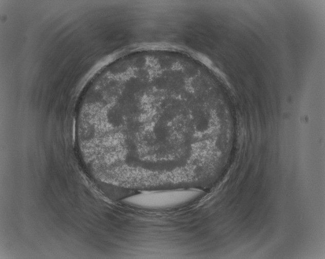 X0000084041221200703161823