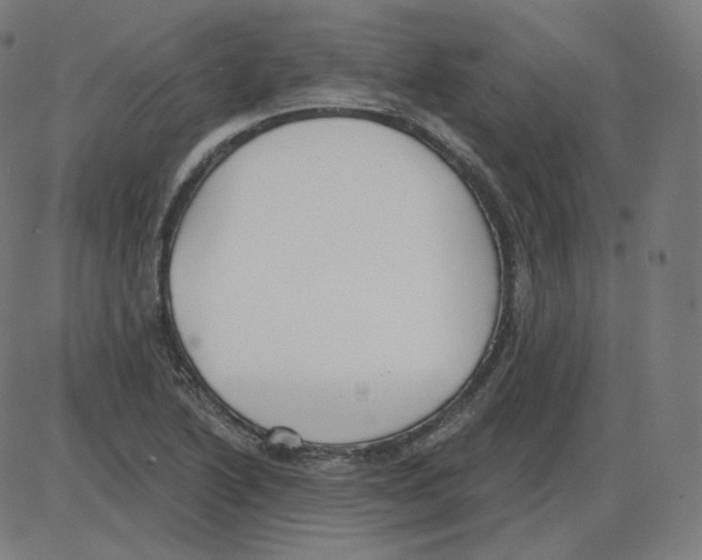 X0000084041222200703161823