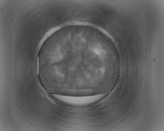 X0000084041223200703161823