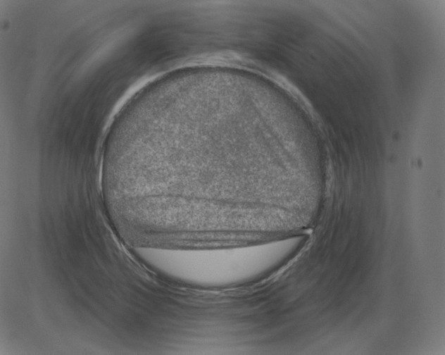 X0000084041224200703161823