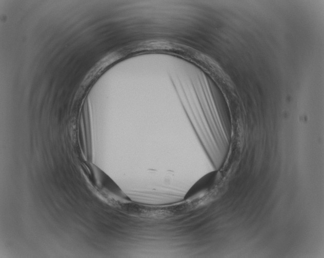 X0000084041225200703161823