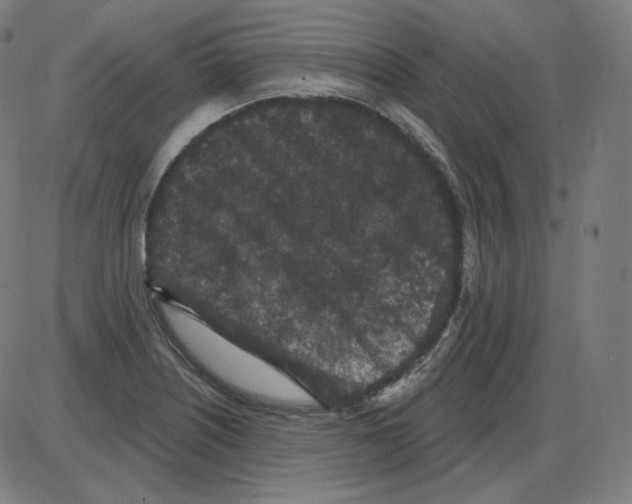 X0000084041226200703161823