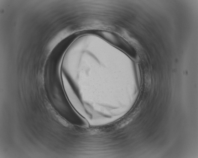 X0000084041230200703161823