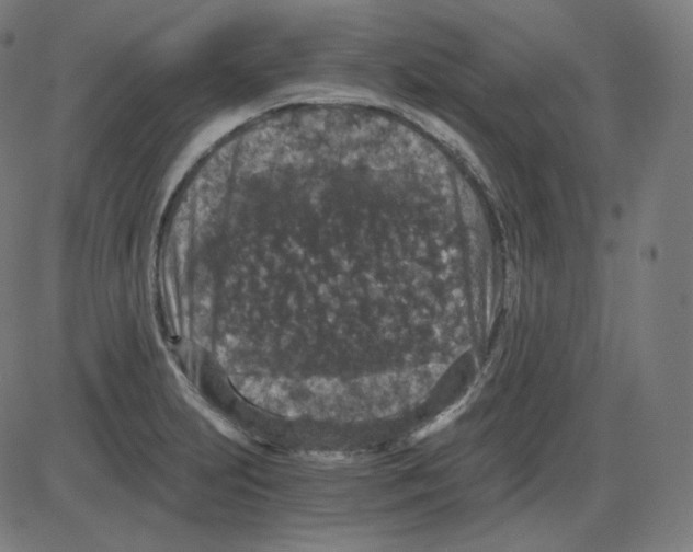 X0000084041231200703161823