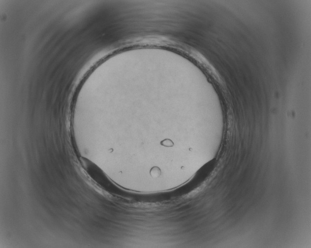 X0000084041232200703161823