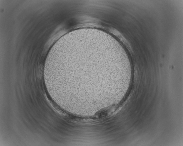 X0000084041233200703161823