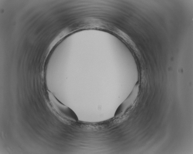 X0000084041234200703161823