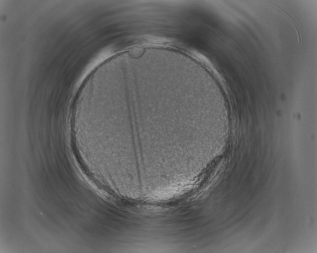 X0000084041235200703161823